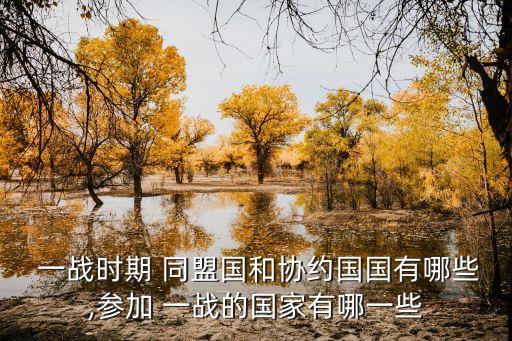  一戰時期 同盟國和協約國國有哪些,參加 一戰的國家有哪一些