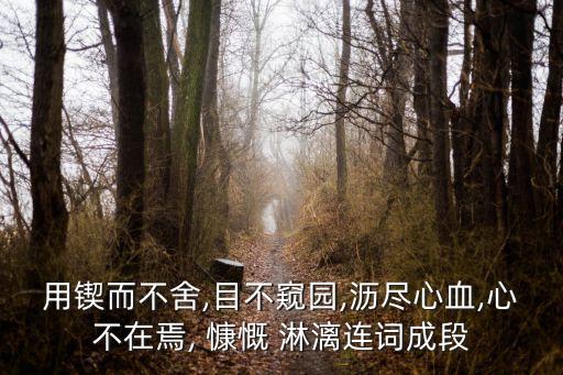 用鍥而不舍,目不窺園,瀝盡心血,心不在焉, 慷慨 淋漓連詞成段