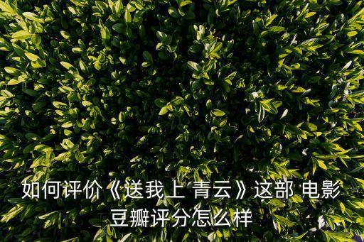 送我上青云電影,電影《送我去青云》雖有缺陷但不影響票房