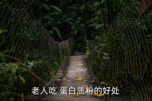 老人吃 蛋白質粉的好處