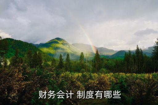  財務會計 制度有哪些