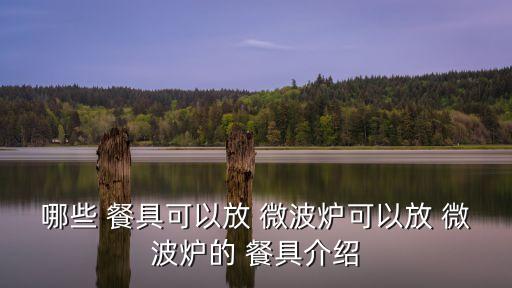 適合微波爐加熱的餐具,微波爐可用瓷盤盛裝食物和燒烤器