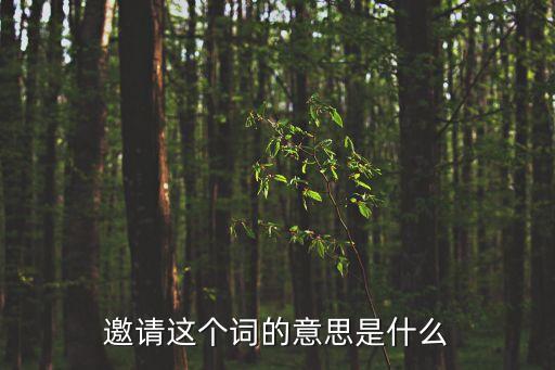 邀請這個詞的意思是什么