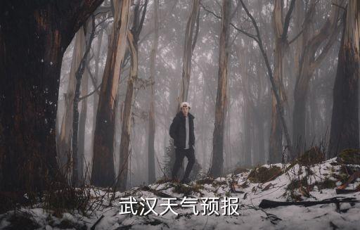 武漢天氣預報