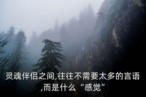 安定感,數(shù)字廣播系統(tǒng)音質(zhì)提升體現(xiàn)安定sense這個(gè)詞