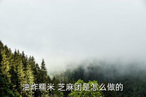 芝麻團(tuán),知乎團(tuán)隊名字來自芝麻groupon超級芝麻群分三等