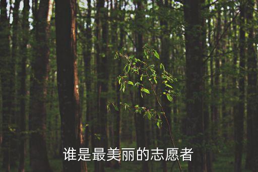 誰是最美麗的志愿者