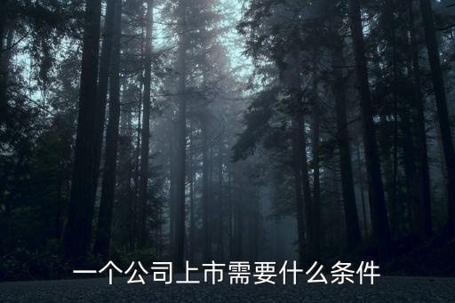 上市的條件，企業(yè)上市需要什么條件