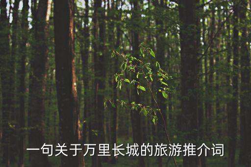 旅游推介詞，一句關(guān)于萬里長(zhǎng)城的旅游推介詞