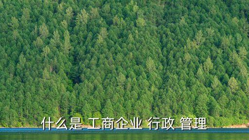 什么是 工商企業(yè) 行政 管理