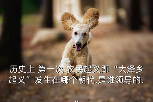 歷史上 第一次 農(nóng)民起義即“大澤鄉(xiāng)起義”發(fā)生在哪個(gè)朝代,是誰(shuí)領(lǐng)導(dǎo)的...