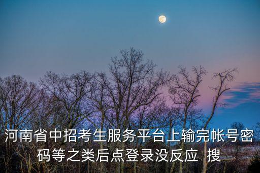 河南省中招考生服務平臺上輸完帳號密碼等之類后點登錄沒反應  搜