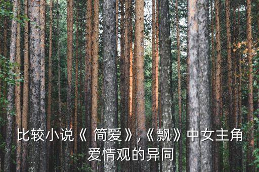 簡愛的愛情觀,簡愛和羅切斯特的看法愛情我很欣賞