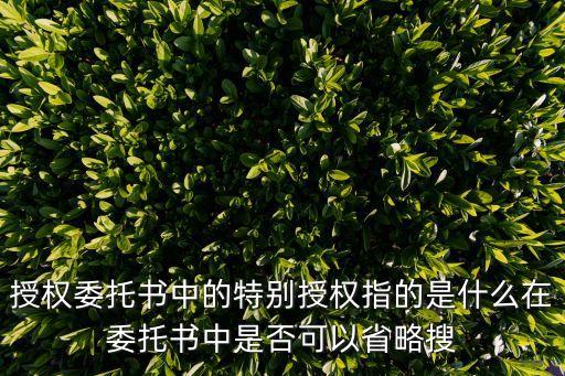 特別授權(quán)委托書，的借款糾紛原告的特別授權(quán)委托書怎么寫