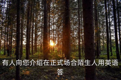 有人向您介紹在正式場合陌生人用英語答