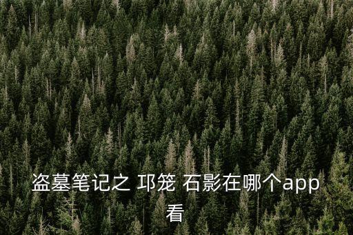 邛籠石影,50年后盜墓賊發(fā)現(xiàn)墓穴藏寶圖