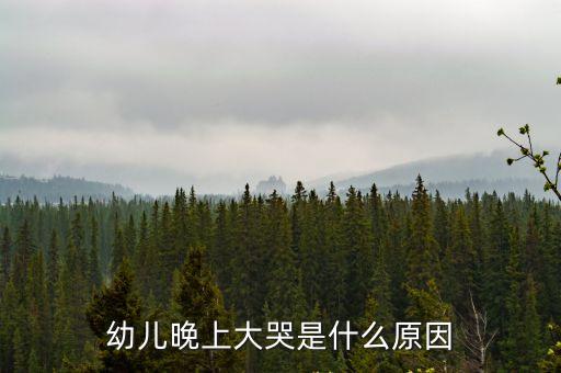 幼兒晚上大哭是什么原因