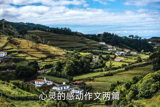 心靈的感動(dòng)作文兩篇
