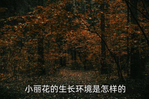 小麗花,小麗花為近源八倍體后代性狀豐富易于栽培