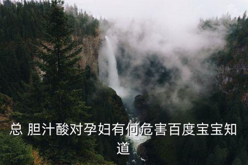 總 膽汁酸對孕婦有何危害百度寶寶知道