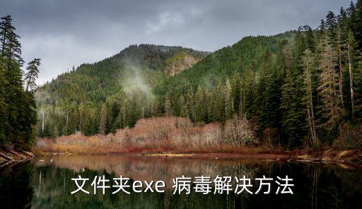 文件夾病毒,如何清除exe類型病毒?