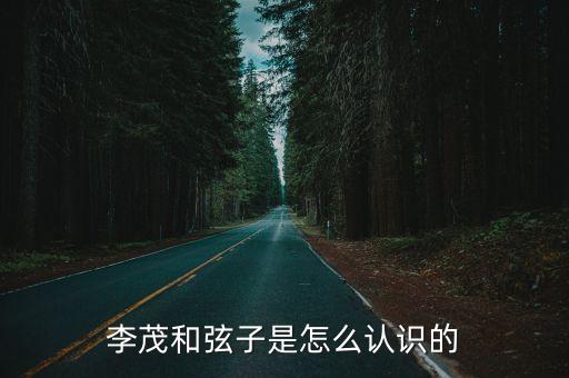 李茂和弦子是怎么認識的