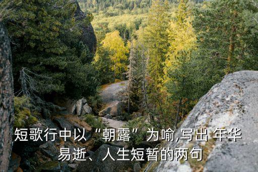 年華易逝,第四集:金戈鐵馬吞萬里如虎?