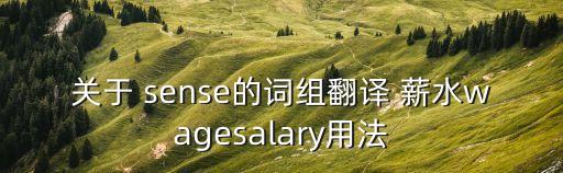 關(guān)于 sense的詞組翻譯 薪水wagesalary用法