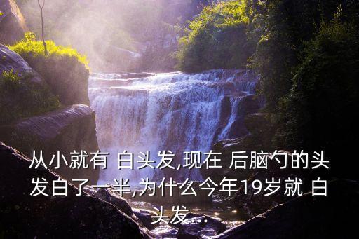 后腦勺長白頭發,重綠絲之重新認識