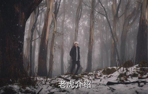 老虎介紹,最大老虎是東北虎生活習(xí)性獨(dú)居
