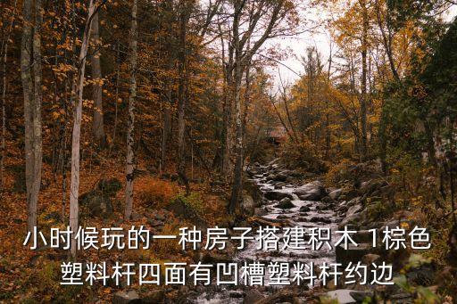 小時候玩的一種房子搭建積木 1棕色塑料桿四面有凹槽塑料桿約邊