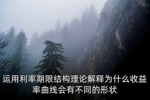 利率期限結(jié)構(gòu)理論，簡(jiǎn)述利率的期限結(jié)構(gòu)