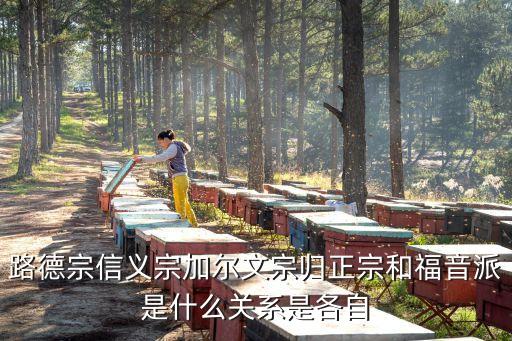 加爾文宗，新教中加爾文與路德的區(qū)別在哪里