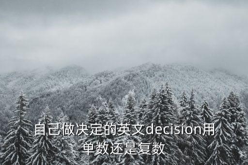 自己做決定的英文decision用單數還是復數
