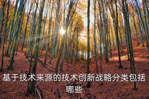 基于技術(shù)來(lái)源的技術(shù)創(chuàng)新戰(zhàn)略分類包括哪些