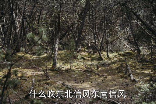 什么吹東北信風東南信風