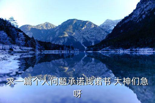 承諾踐諾，求一篇個人問題承諾踐諾書 大神們急呀
