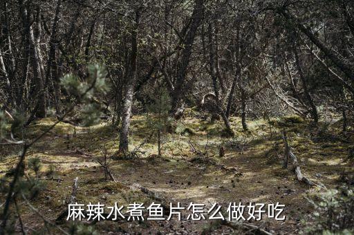 麻辣水煮魚片，麻辣水煮魚片的家常做法大全怎么做好吃視
