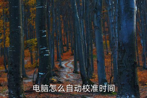 電腦怎么自動校準時間