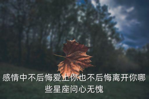 感情中不后悔愛上你也不后悔離開你哪些星座問心無愧