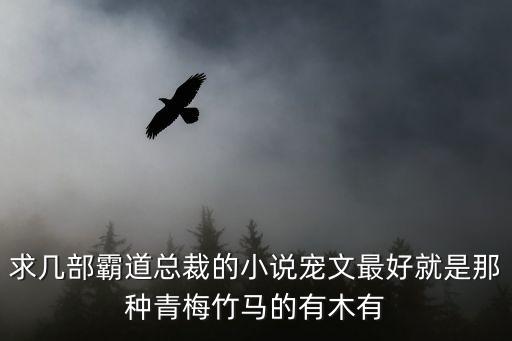 霸道總裁言情小說，求幾部霸道總裁的小說寵文最好就是那種青梅竹馬的有木有