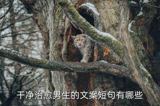 簡單干凈的文案，簡單干凈致自己的句子有哪些