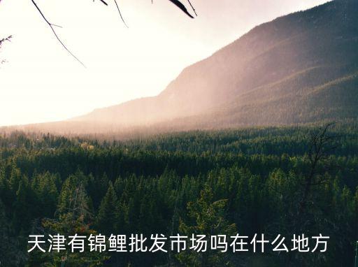 天津市精武鎮(zhèn)富興路，天津巿楊柳青到天津津武鎮(zhèn)開車需多長時間