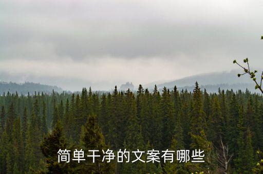 簡單干凈的文案有哪些