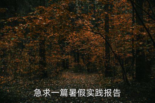 暑期實(shí)踐報(bào)告，誰有暑假實(shí)踐報(bào)告范文