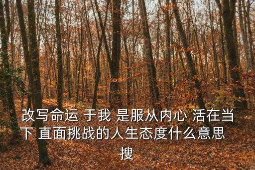 直面挑戰，改寫命運 于我 是服從內心 活在當下 直面挑戰的人生態度什么意思  搜