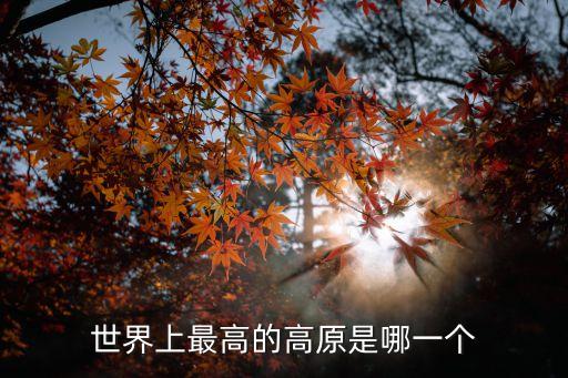 世界上最高的高原是哪一個