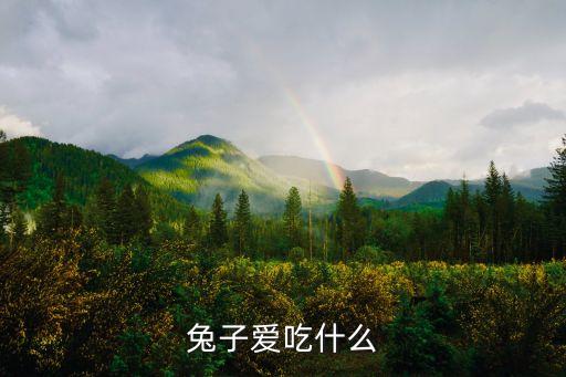 兔子愛吃什么
