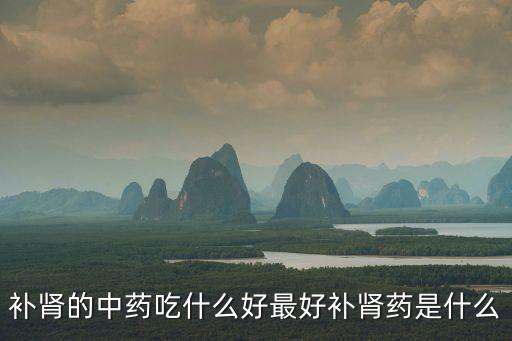 補腎的中藥吃什么好最好補腎藥是什么