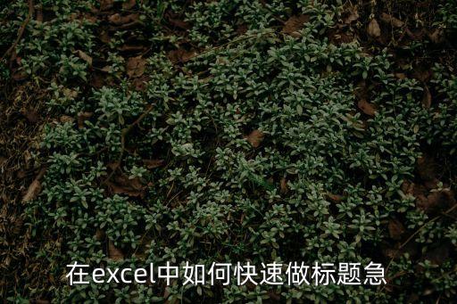 在excel中如何快速做標題急